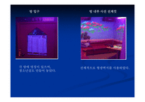 [서비스론] 노래방산업의 재활성화 경영사례-9