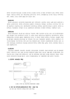 영국의 교육 레포트-6