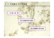 [생물학과 인체생리학]미생물에 의한 질병-파워포인트-2