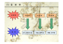 [생물학과 인체생리학]미생물에 의한 질병-파워포인트-3