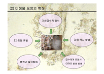 [생물학과 인체생리학]미생물에 의한 질병-파워포인트-4