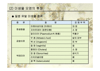 [생물학과 인체생리학]미생물에 의한 질병-파워포인트-5