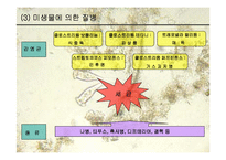 [생물학과 인체생리학]미생물에 의한 질병-파워포인트-8