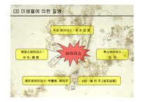 [생물학과 인체생리학]미생물에 의한 질병-파워포인트-9