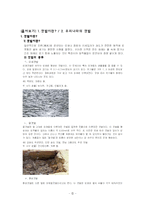새만금 간척사업 두 가지 시선으로 보기(특징, 진행, 개요, 찬반 양론)-2