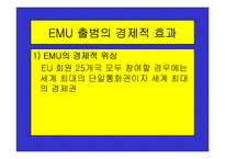 유로화의 출범배경과 과정, 전망, 고찰 , 시사점 [발표자료]-11