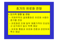 유로화의 출범배경과 과정, 전망, 고찰 , 시사점 [발표자료]-15
