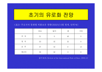 유로화의 출범배경과 과정, 전망, 고찰 , 시사점 [발표자료]-17