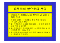 유로화의 출범배경과 과정, 전망, 고찰 , 시사점 [발표자료]-20