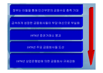 동남아시아 경제 성장의 결빙(freezing)과 금융위기-(타이와 인도네시아 사례를 중심으로-12