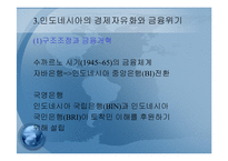 동남아시아 경제 성장의 결빙(freezing)과 금융위기-(타이와 인도네시아 사례를 중심으로-19