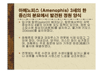 [조경학]고대 이집트의 조경-14
