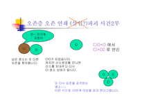 [환경]오존층 파괴-9