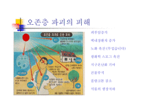 [환경]오존층 파괴-12