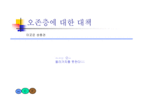 [환경]오존층 파괴-13