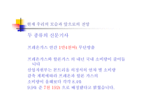 [환경]오존층 파괴-15