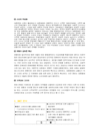 [마케팅]스타 마케팅 성공사례와 실패사례 분석 및 개선 방안(SWOT 포함)-16