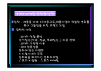 [마케팅원론]청소년라이프스타일과 마케팅전략-17