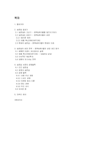 [경영학] 송문섭의 성공 전략 - 팬택&큐리텔의 성공 요인 분석-1
