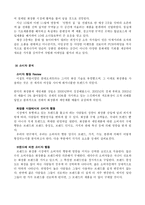 [경영전략] 2010 저가 화장품 시장 예측 - LG생활건강을 위한 시나리오 분석 및 전략적 시사점-6
