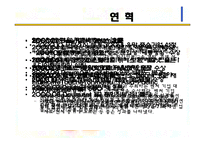 다음커뮤니케이션 경영전략분석-9