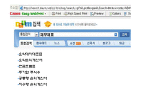 다음커뮤니케이션 경영전략분석-12