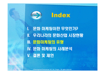 국내기업의 문화마케팅 전략-8