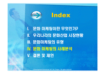 국내기업의 문화마케팅 전략-12