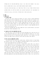 [마케팅] 넥슨의 성공요인 분석-12