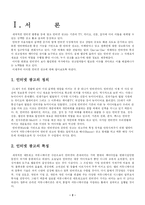 인터넷광고의 효과 및 미래 전망-2