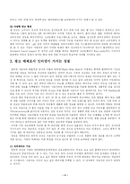 인터넷광고의 효과 및 미래 전망-4