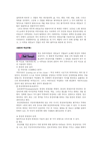 [청년발달] 청소년들의 성정체성과 동성애-4