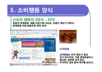 [광고심리학] 소비자선택-15