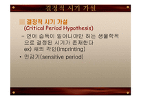 [언어심리학] 제2언어 습득과 결정적 시기 가설-4