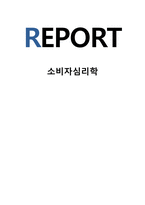 소비자심리학_소비자가 특정 제품에 대하여 구매와 사용에 대하여 위험을 인지하게 되면 관여도는 더욱 증가하게 되는데, 인지하게 되는 위험의 6가지와, 관여도의 측정과 후발 브랜드의 공격적 전략에 대해서 서술하시오-1