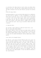 연예인이 청소년에게 미치는 영향에 대한 보고서-2