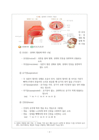 [중앙사이버평생교육원/외국어로서의한국어발음교육론] 말소리 생성 과정과 조음 기관을 설명하고, 말소리 생성 및 조음 기관은 한국어 발음 교육과 어떠한 관계가 있는지 서술하시오.-2