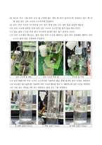  정수위 투수시험 결과레포트-7