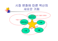 벽산의 마케팅 전략 분석 및 수립-15