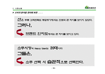 산의 마케팅 전략 분석 및 수립-17