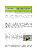 [국제마케팅] KFC의 글로벌 마케팅 사례 분석-16