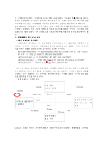 [마케팅] 렉서스 한국시장에서의 마케팅전략-9