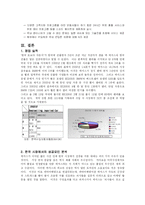 [마케팅] 렉서스 한국시장에서의 마케팅전략-13
