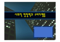 사회적영향력과 소비자행동-1
