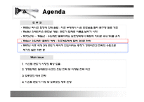 [국제경영] 질레트와 쉬크의 한국시장 진입과 도루코의 대응전략 분석-3