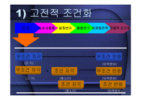 학습과 소비자행동-13