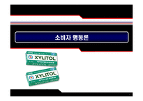 [소비자행동] 롯데자일리톨 마케팅-1