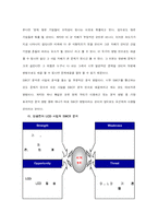 [마케팅관리] 삼성전자 LCD 사업 분석-13