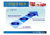 [소비자 행동] 소비자행동 사례연구 - 초코파이-7
