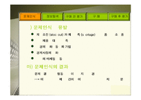 [소비자행동론] 소비자 구매의사 결정과정-13